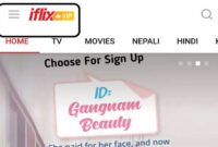 Nepali Free Movie - VIP Movie On Iflix 2021